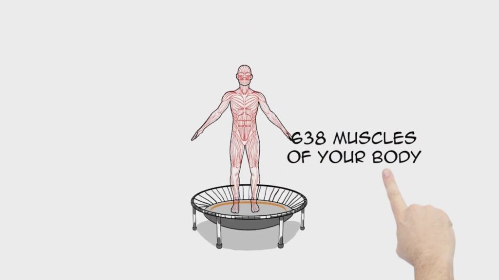 bellicon exercise trampoline