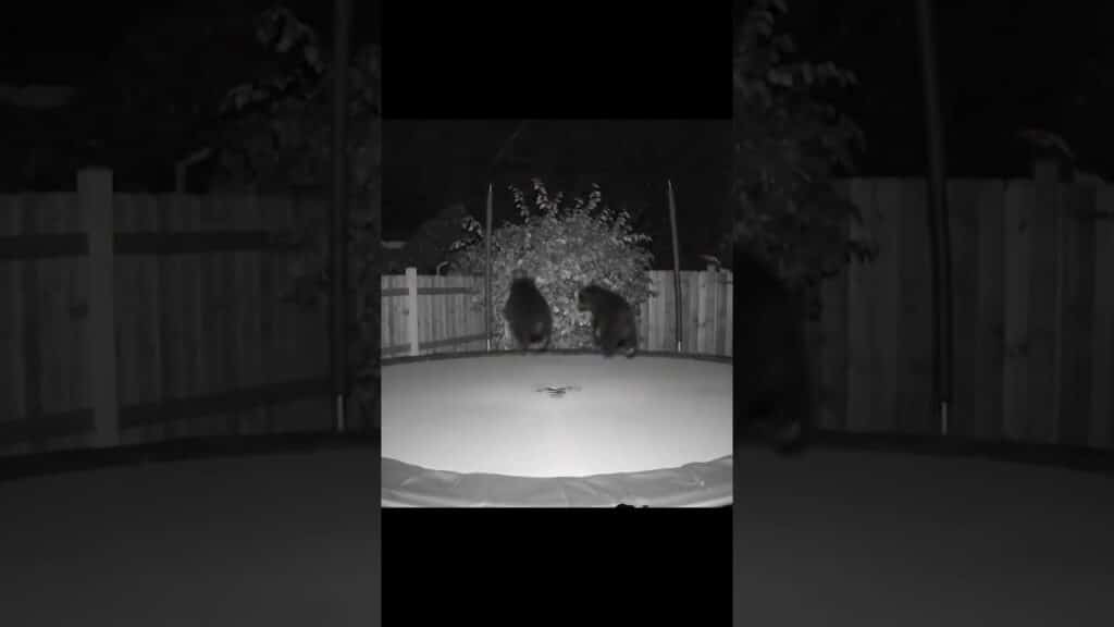 jumping on trampoline
