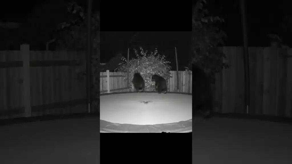 jumping on trampoline